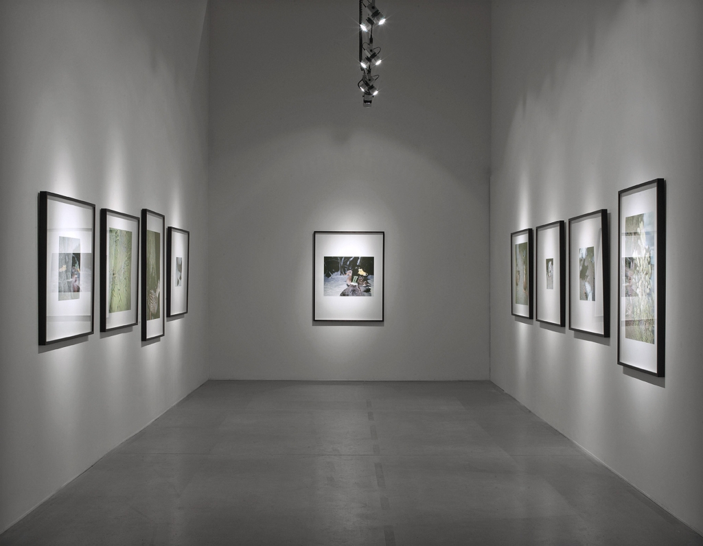 Daniel Andersson, Installationsansicht
