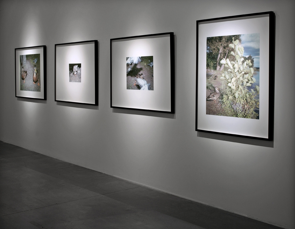 Daniel Andersson, Installationsansicht